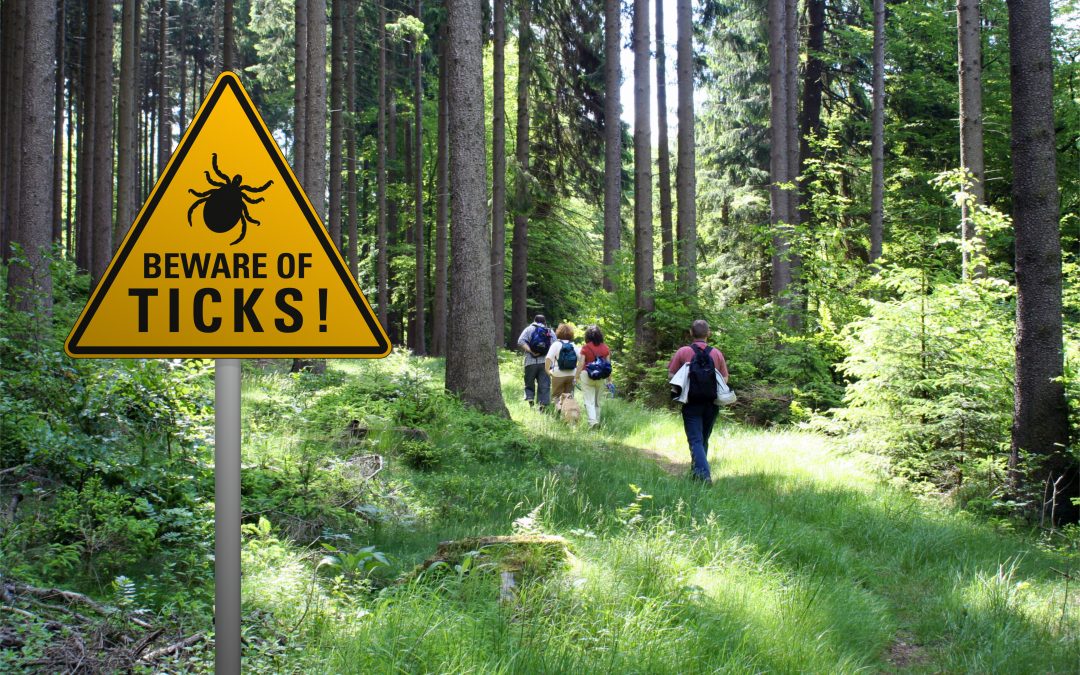 Summer is here—be on the lookout for ticks