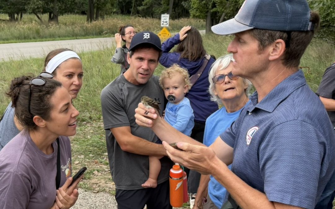 Bird Banding