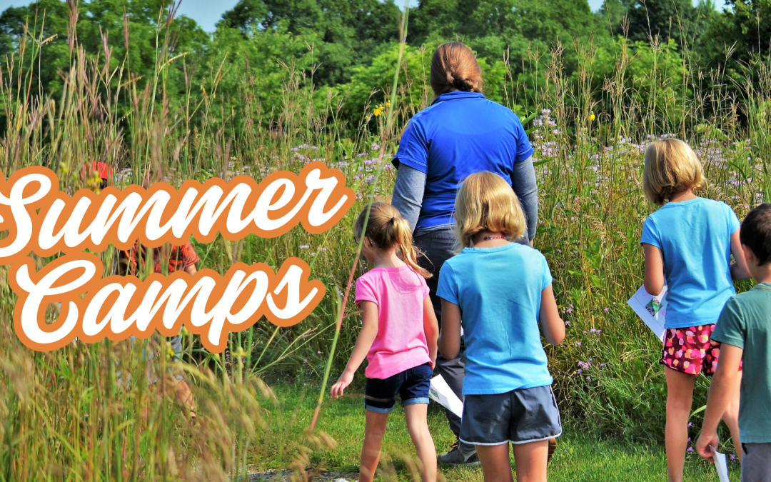 Summer Camps