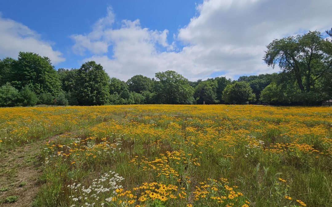 A Busy Summer for Natural Resources Management
